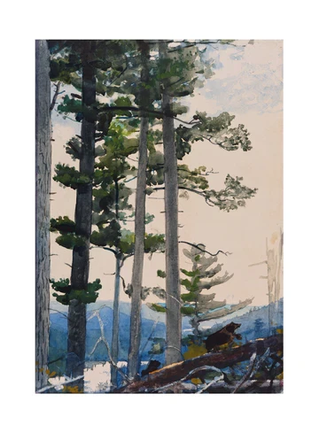 Homer Old Settlers 11x14 Matted