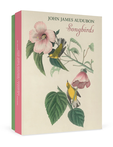 John James Audubon: Songbirds Boxed Notecard Assortment