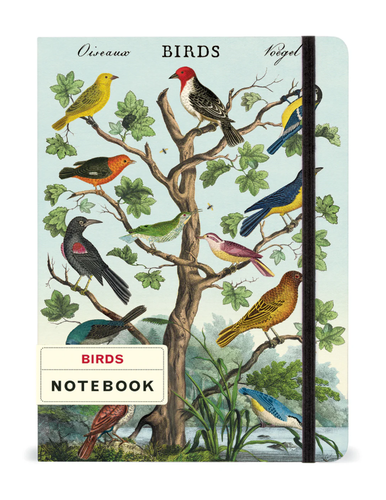 Birds Notebook