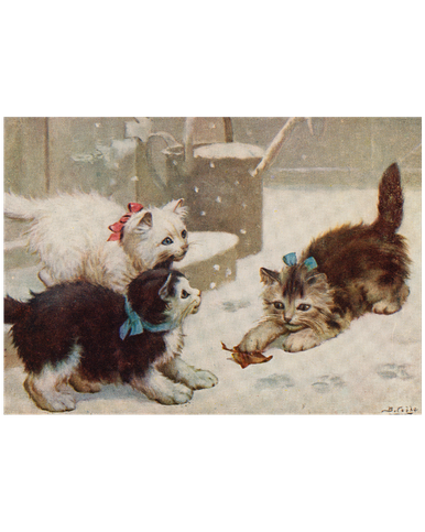 MFA Kittens Playing With a Leaf in the Snow Holiday Cards