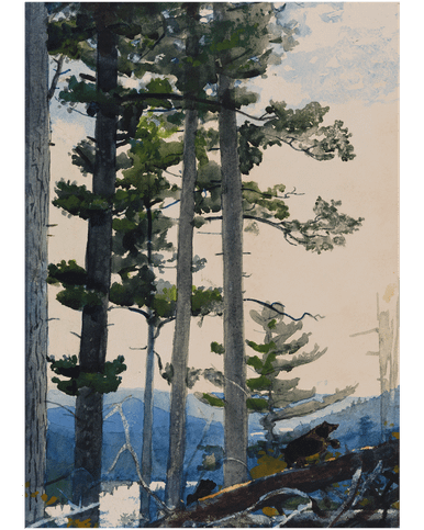 MFA Old Settlers Holiday Cards