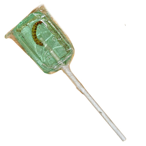 Hotlix Worm Suckers 31g Hotlix Worm Suckers 31g