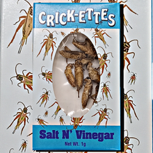HotLix Crick-ettes Salt N' Vinegar  1g