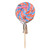 Sweet Whirls Rainbow lollipop