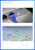 Ruijie RG-EST450G 15 dBi, with 120° Built-in Antenna, Street, Building, Campus, Farm, Factory, etc.