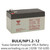 YUASA BULK/NP1.2-12 General Purpose VRLA Battery