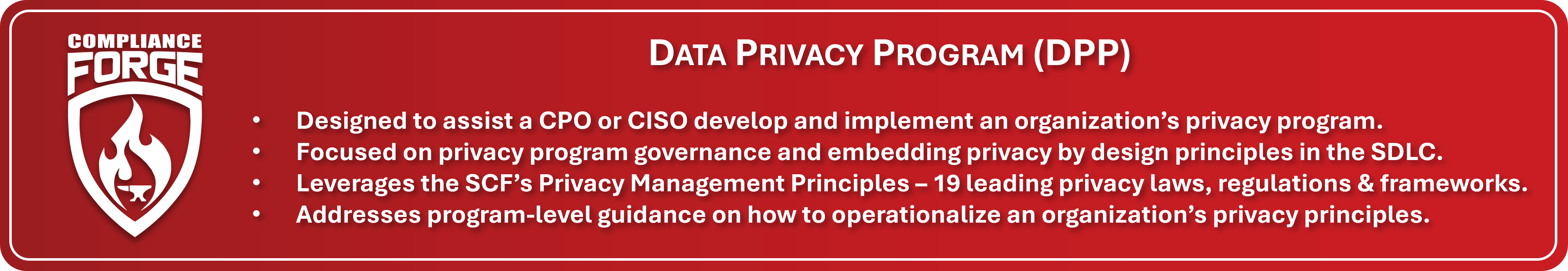 Digital Privacy Program Template