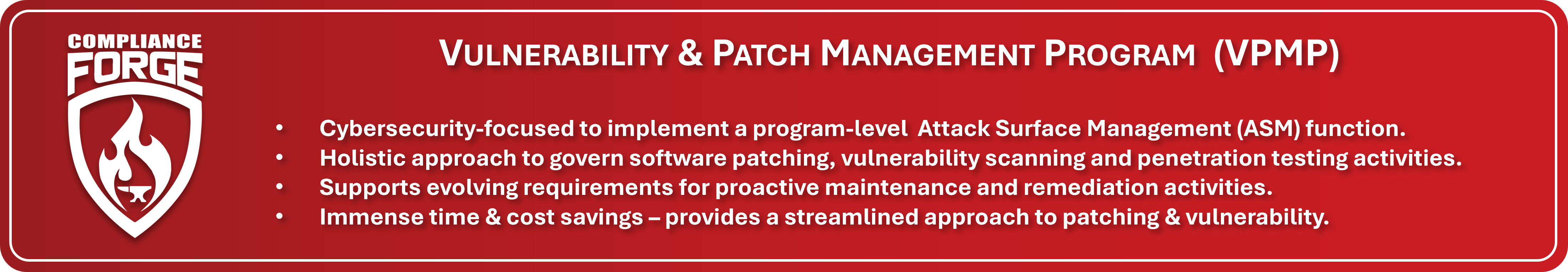 Vulnerability & Patch Management Program