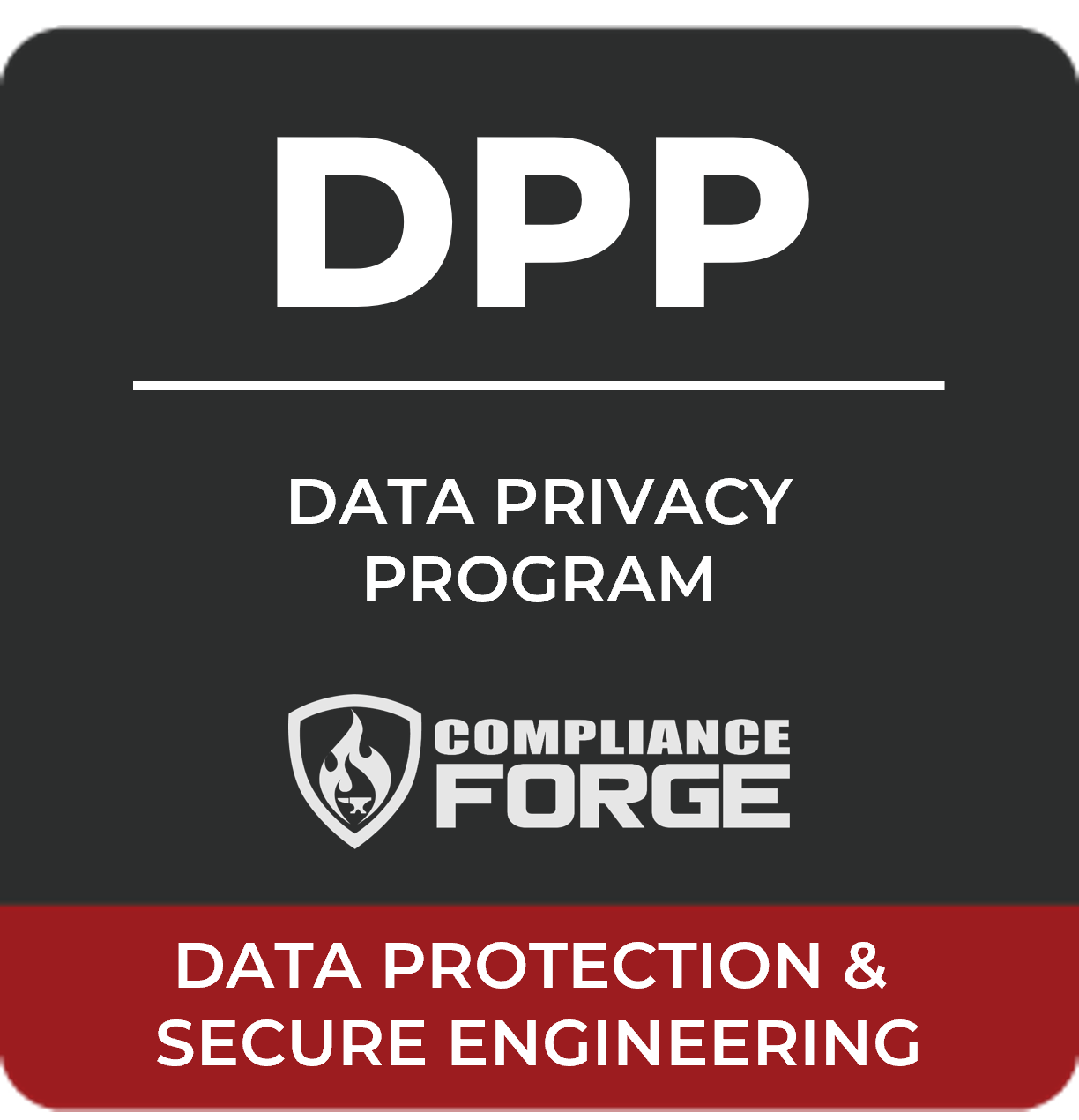 Data Privacy Program