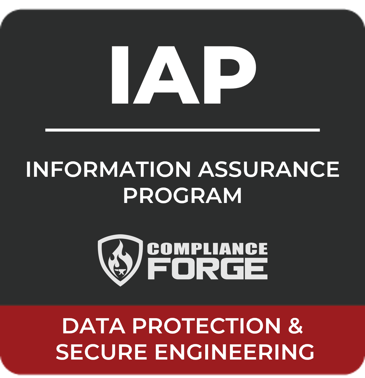 2020-logo-information-assurance-program-iap-.jpg information assurance program