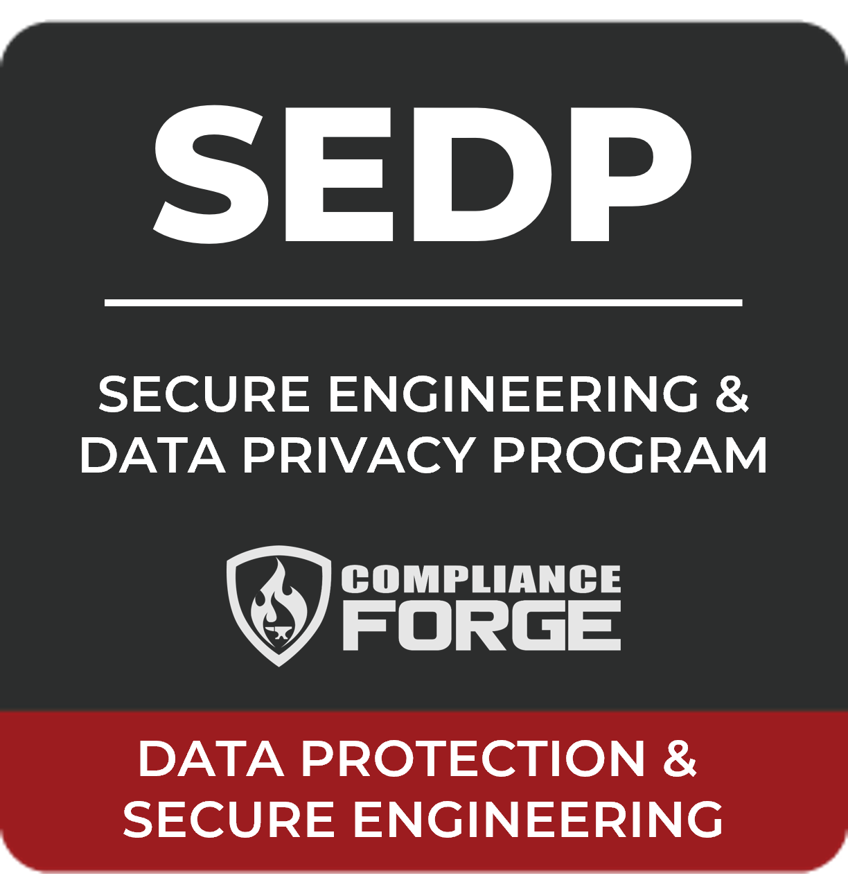 2020-logo-security-privacy-by-design-spbd-.jpg secure engineering & data privacy program