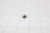 Dacor 83689 - Screw, 10-24 X 1/4 Ss Truss - 83689 - Front.JPG