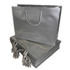 100 Bags - Silver Gloss Laminated Euro Paper Bags - 13" x 5" x 10"