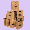 100 Bags - Custom Printed Kraft Eco Euro Paper Bags with Twill Handles 8 x 4 x 10