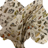 MADE IN USA - 240 Sheets - Toadstools New Patterned Tissue - 20" x 30" Sheets