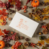 CLEARANCE - MADE IN USA - 50 2 Layer Covers - 2 lb. Candy-Chocolate Box Covers - White