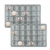 1 lb. Silver Plastic Tray 24 cavities