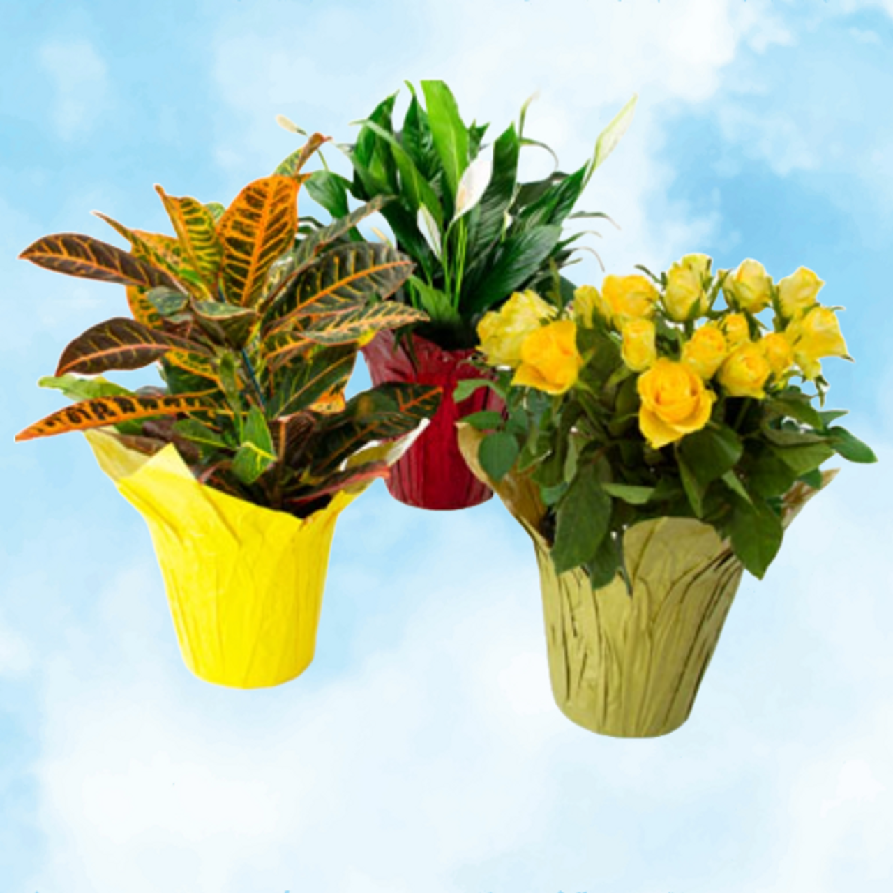 Kwik Cover - Potted Plant Covers