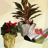 Florist Poly Embossed Foil Rolls