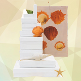 White Gloss Jewelry Boxes - 8 Sizes