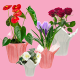 FLORAL & WRAP SUPPLIES