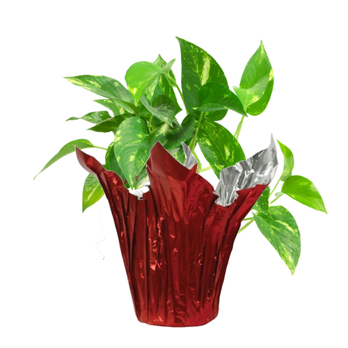 100 Covers 6" Red Matte Metallic Kwik-Covers for Potted Plants