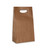 Die Cut Handle Stylin' Bags in Natural Kraft