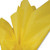 Dandelion Yellow Colored Tissue Paper