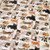 Cats & Kittens Pattern Tissue Paper 20" x 30" Sheets - 240 / Pack