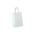 Mini White Kraft Paper Shopping Bags