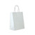 Small White Kraft Paper Shopping Bag