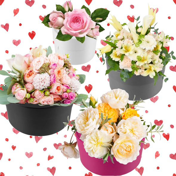 10 Boxes - Round Flower Boxes - 7" Diameter Pewter