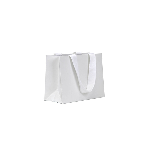 5th Avenue Luxury Shopping Bags