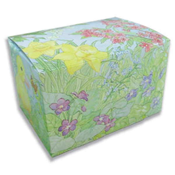 3 lb. Easter Garden-Easter Egg Boxes