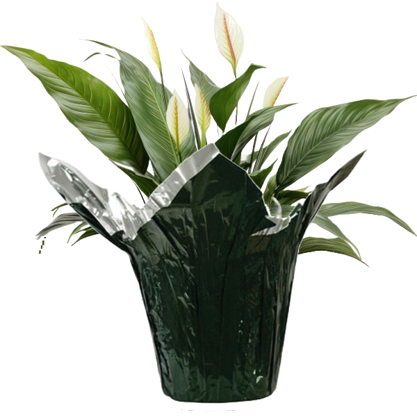 100 Covers 8" Hunter Green Matte Metallic Kwik-Covers for Potted Plants