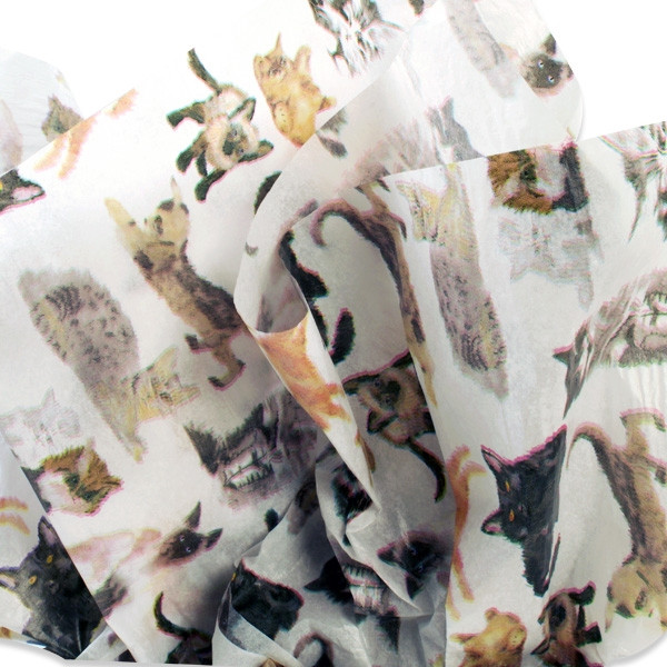 Cats & Kittens Patterned Tissue Paper