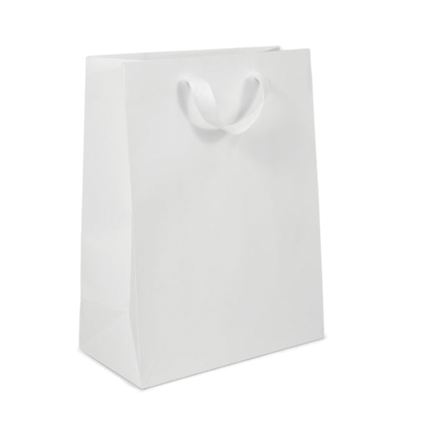 100 Bags - White Eco Euro Paper Bags with Twill Handles 10 x 5 x 13
