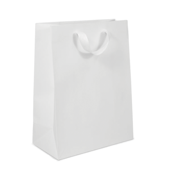 10 Bags - White Eco Euro Paper Bags with Twill Handles 10 x 5 x 13