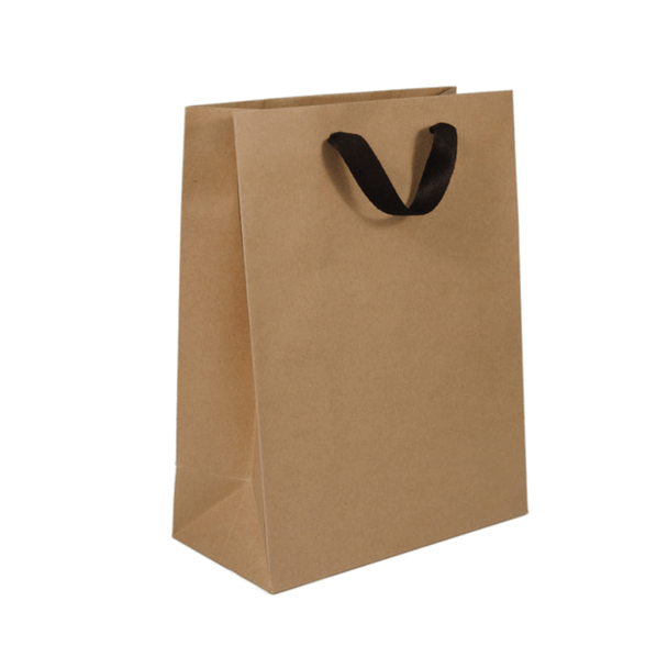 100 Bags - Kraft Eco Euro Paper Bags with Twill Handles 10 x 5 x 13