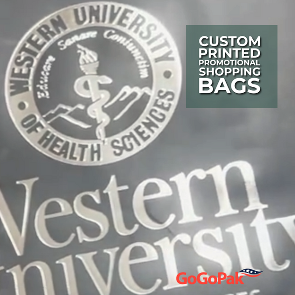 100 Bags -  Matte Laminated Euro Paper Bags - Black - 8" x 4" x 10"