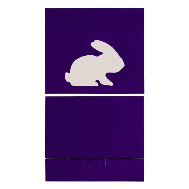 MADE IN USA - 50 Boxes Easter Medium Grease Resistant Cookie/Bakery Boxes - Bunny Window