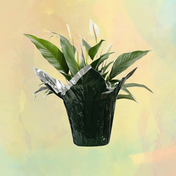 SALE Kwik Covers Plant Pot Covers GoGoPak USA