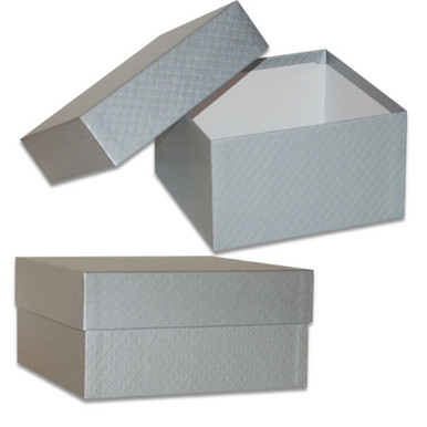Silver Box Open 7