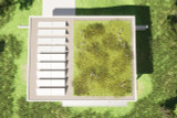Roof Top - 