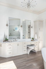 European House Plan - Olivia 73794 - Master Bathroom