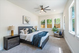 Contemporary House Plan - 81308 - Master Bedroom