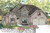European House Plan - Heartison 24998 - Front Exterior