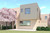 Modern House Plan - Peoria 53415 - Rear Exterior