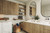 Modern House Plan - Debray 67023 - 