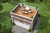 Traditional House Plan - 84859 - 